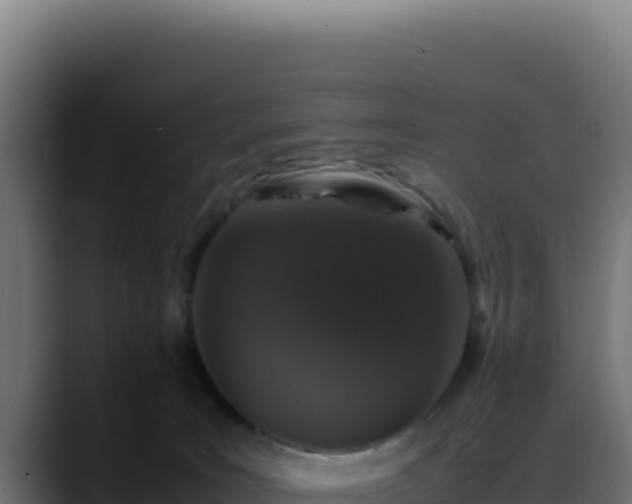 X0000088400035200705291438