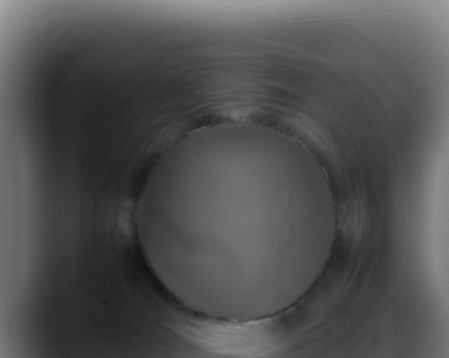 X0000088400036200705291438