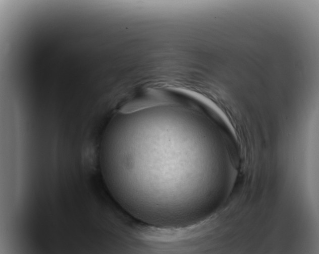 X0000088400037200705291438