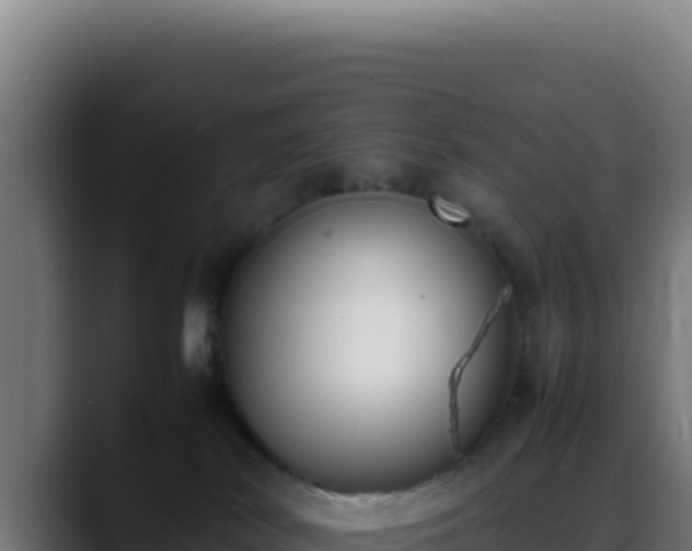 X0000088400038200705291437