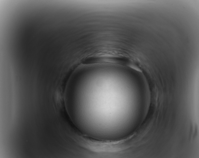 X0000088400040200705291437