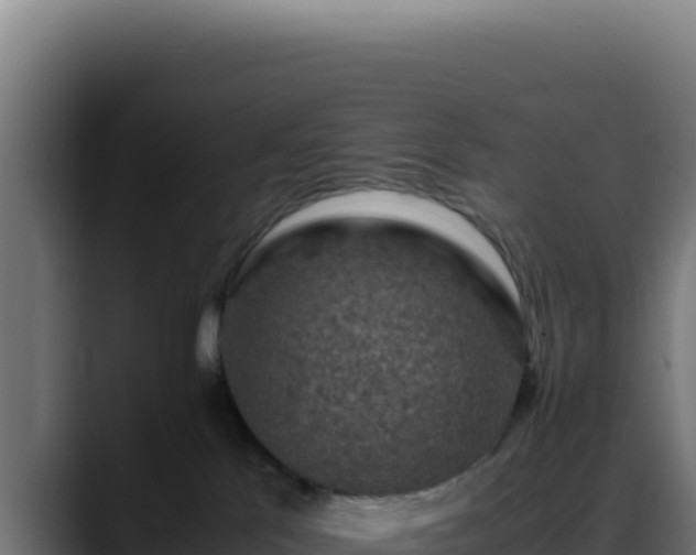 X0000088400041200705291437