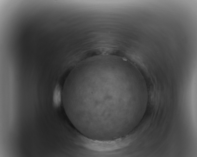 X0000088400042200705291437