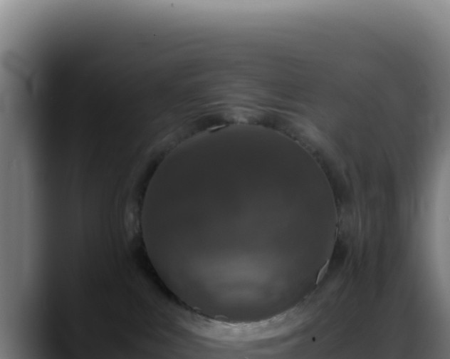 X0000088400043200705291437