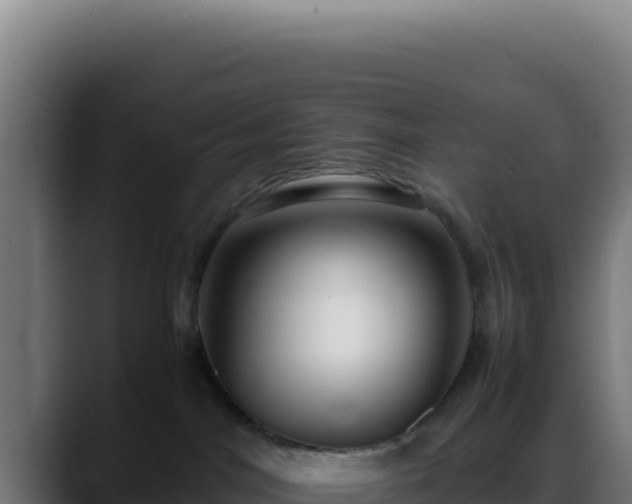 X0000088400044200705291437