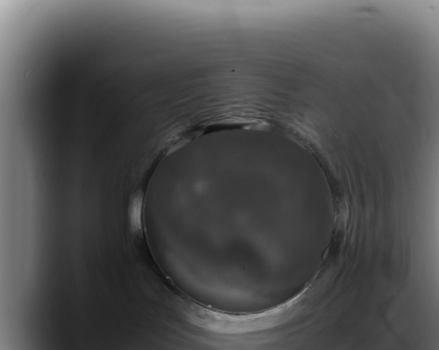 X0000088400047200705291437