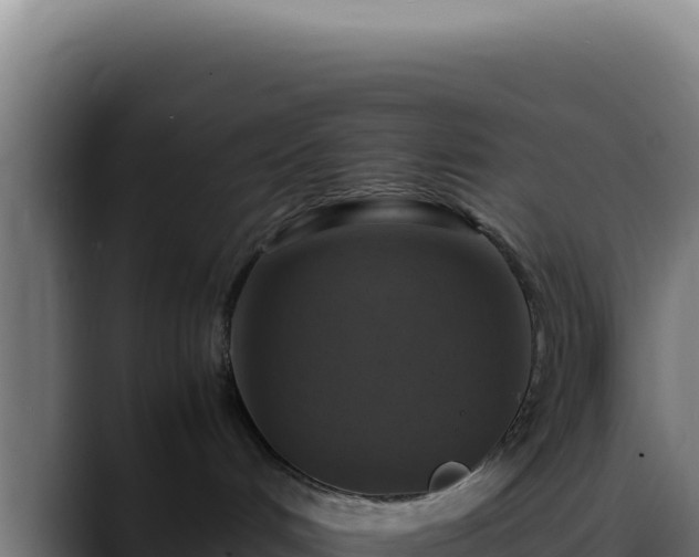 X0000088400048200705291437