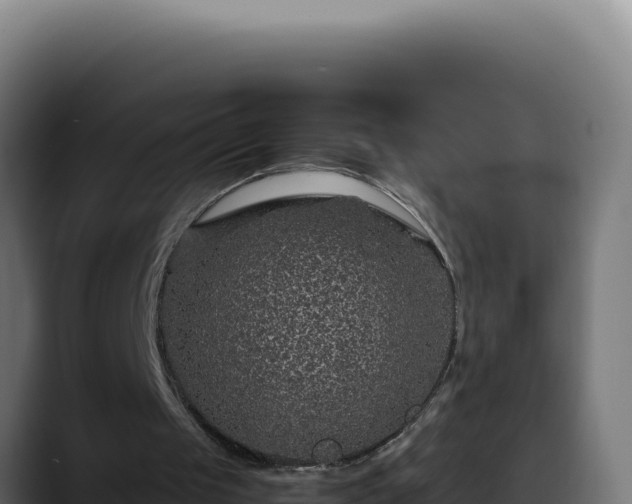 X0000088400049200705291437