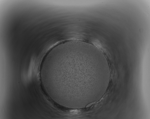 X0000088400050200705291437