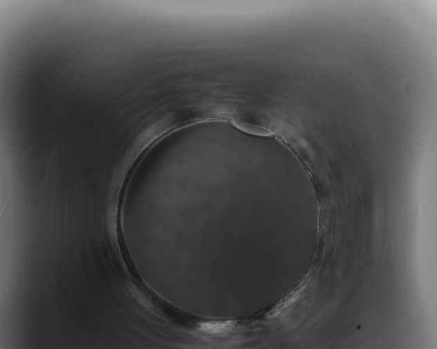 X0000088400051200705291437