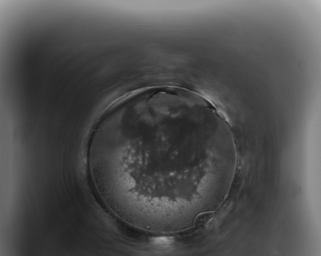 X0000088400053200705291437