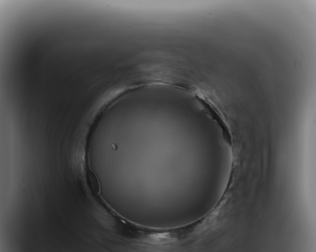 X0000088400054200705291437