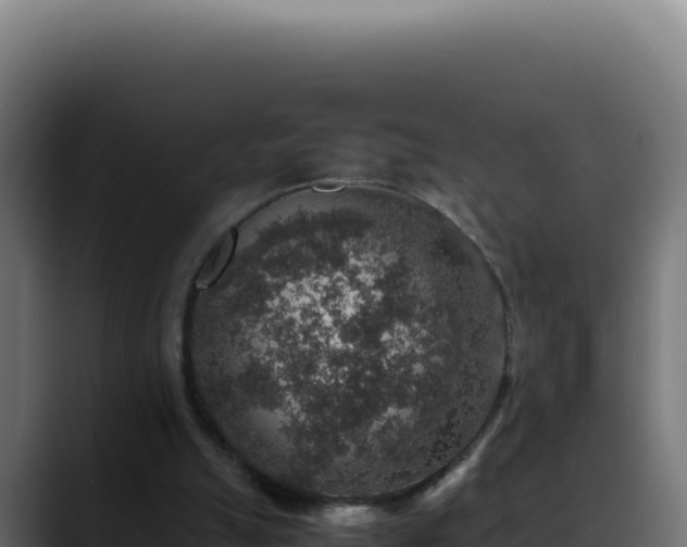 X0000088400055200705291437