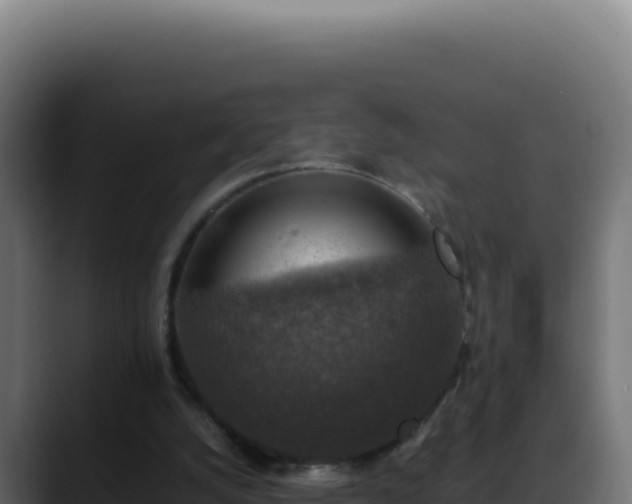 X0000088400056200705291437