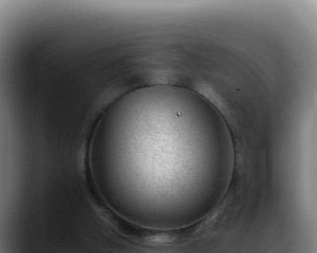 X0000088400058200705291437