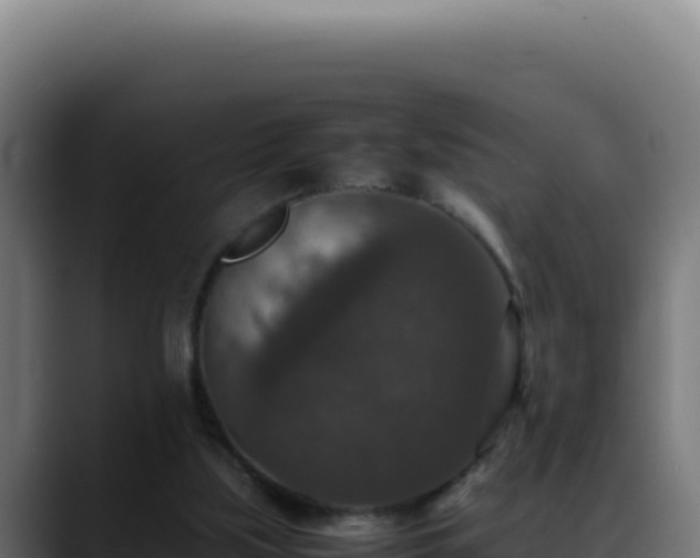 X0000088400059200705291437