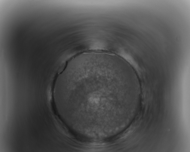 X0000088400060200705291437