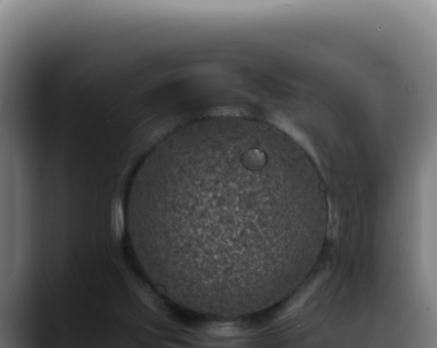 X0000088400061200705291437