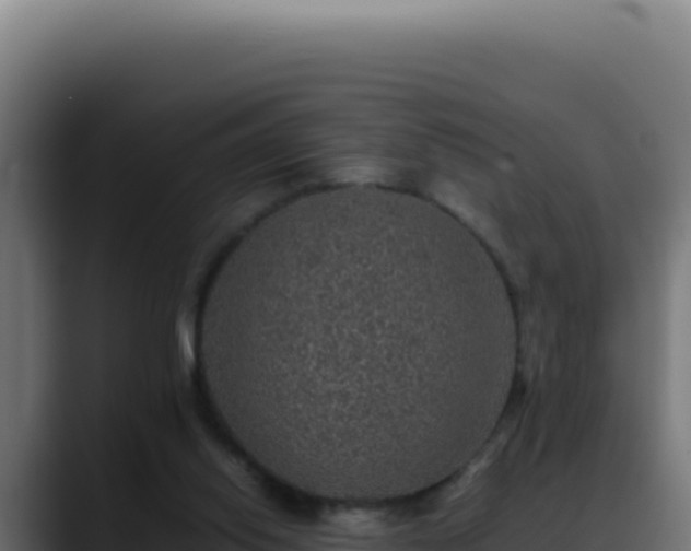 X0000088400062200705291437