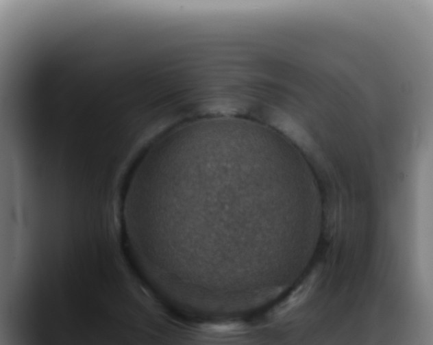 X0000088400064200705291437