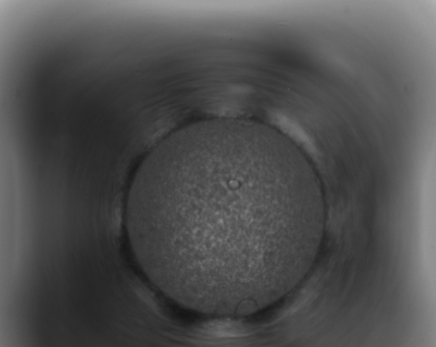 X0000088400065200705291437