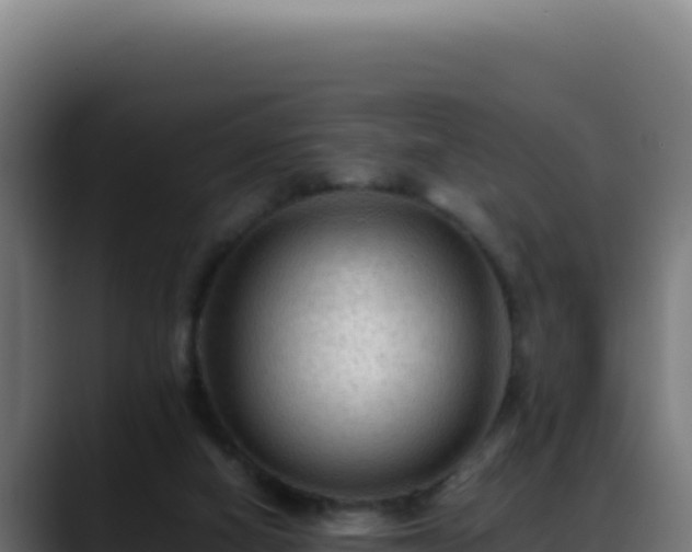 X0000088400066200705291437