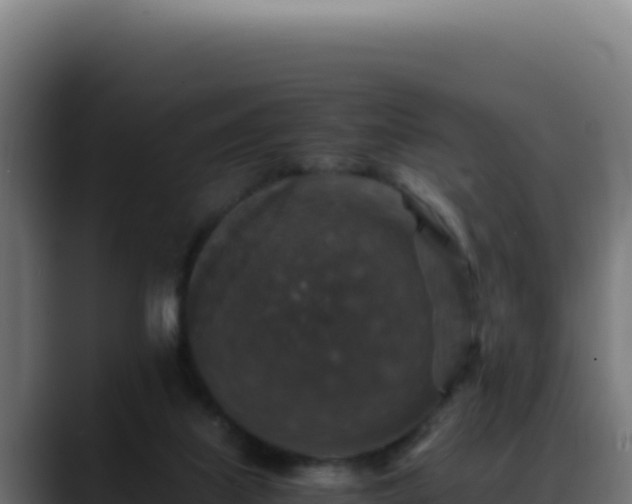 X0000088400067200705291437