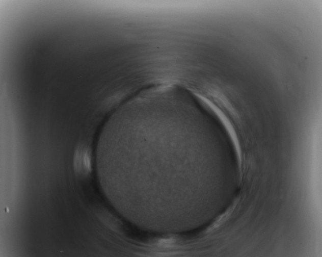 X0000088400068200705291437