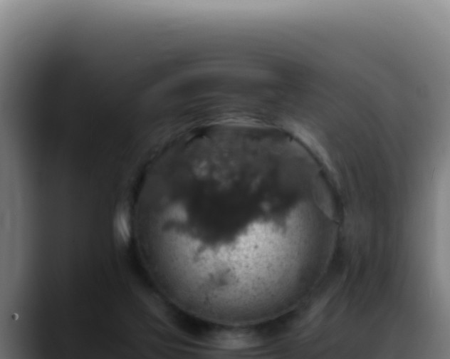 X0000088400069200705291437