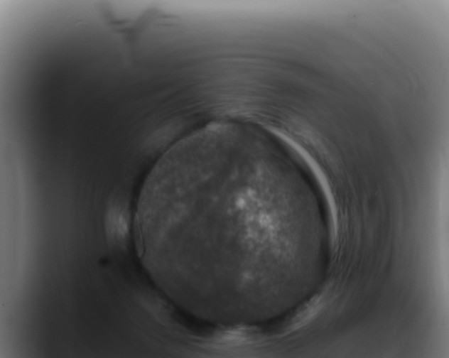 X0000088400072200705291437