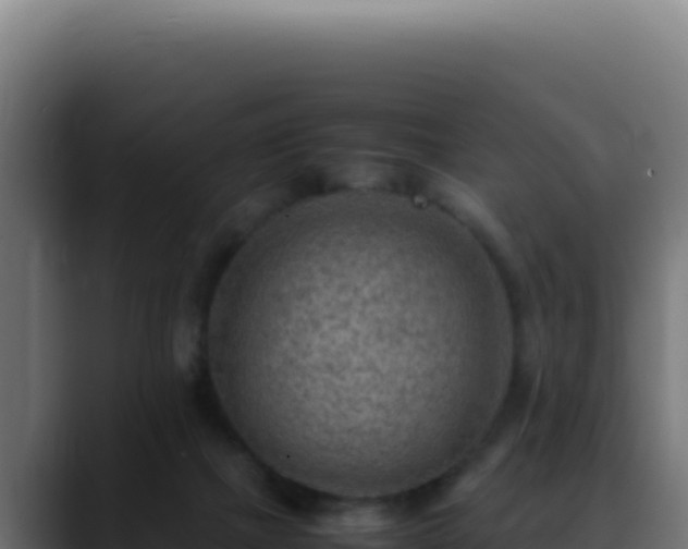 X0000088400073200705291437