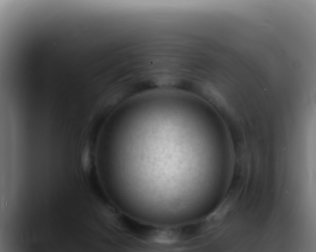 X0000088400074200705291437