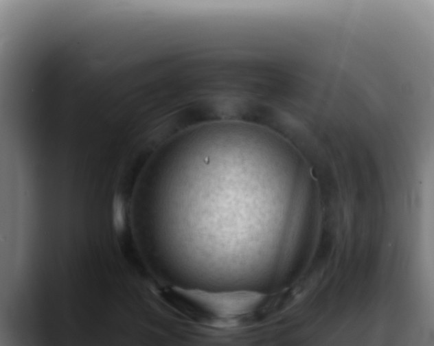 X0000088400075200705291437