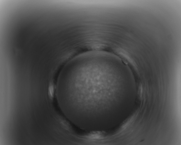 X0000088400076200705291437