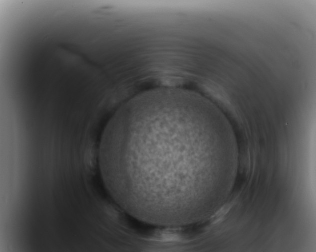 X0000088400078200705291437