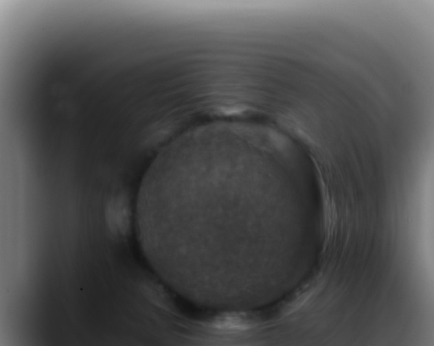 X0000088400080200705291437