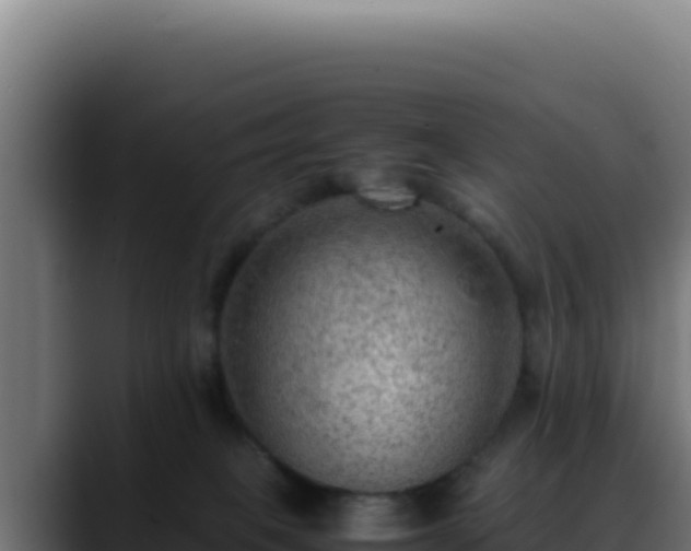 X0000088400085200705291437