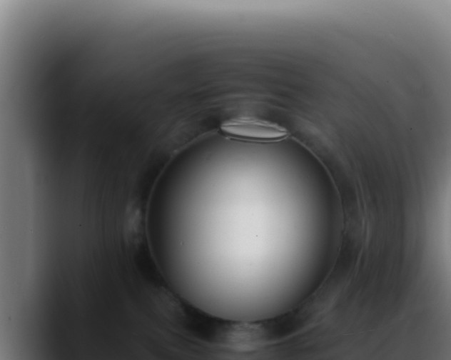 X0000088400087200705291437