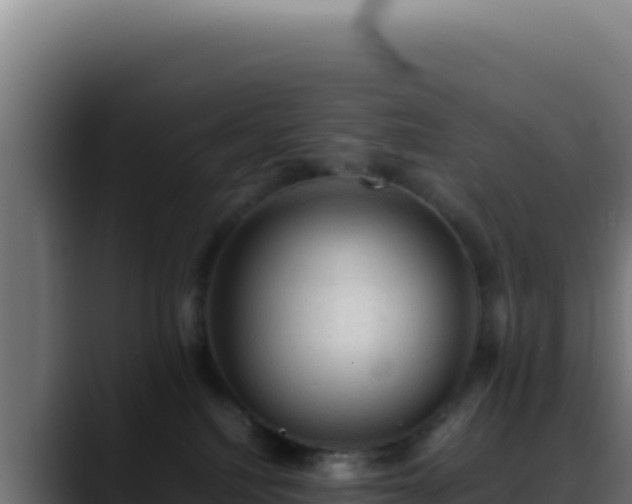 X0000088400088200705291437