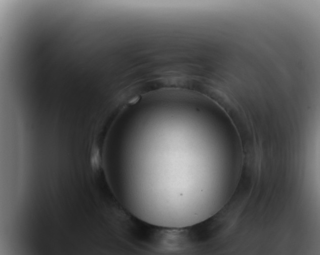 X0000088400089200705291437