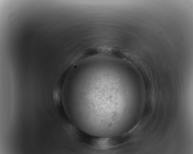 X0000088400090200705291437