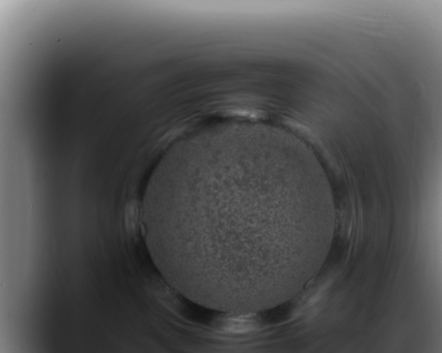 X0000088400093200705291437