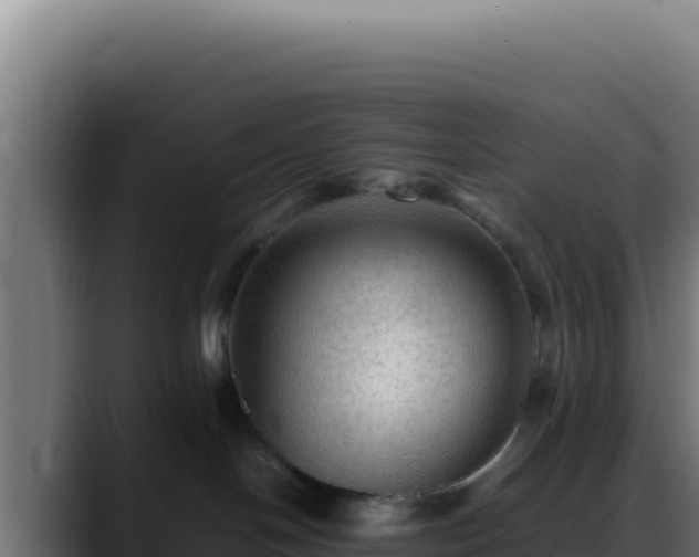 X0000088400094200705291437