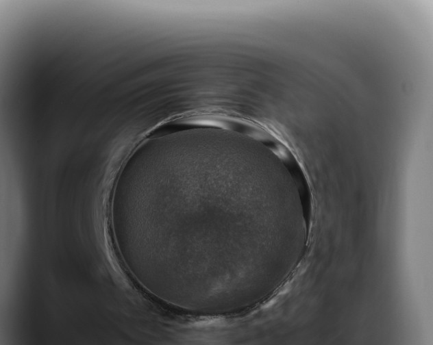 X0000088400097200705291437