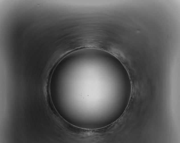 X0000088400098200705291437