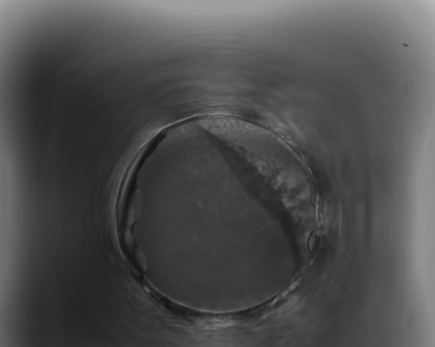 X0000088400099200705291437