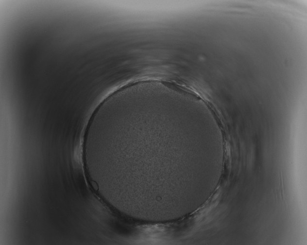 X0000088400100200705291437