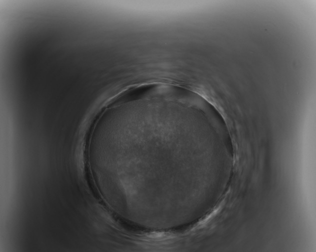 X0000088400101200705291437