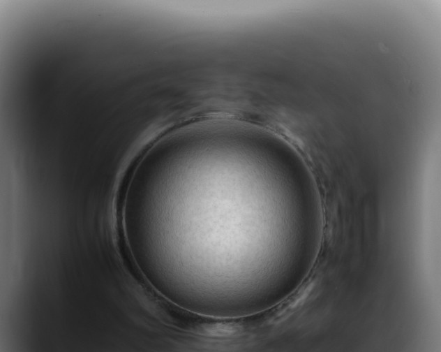 X0000088400102200705291437