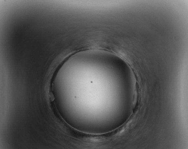 X0000088400103200705291437